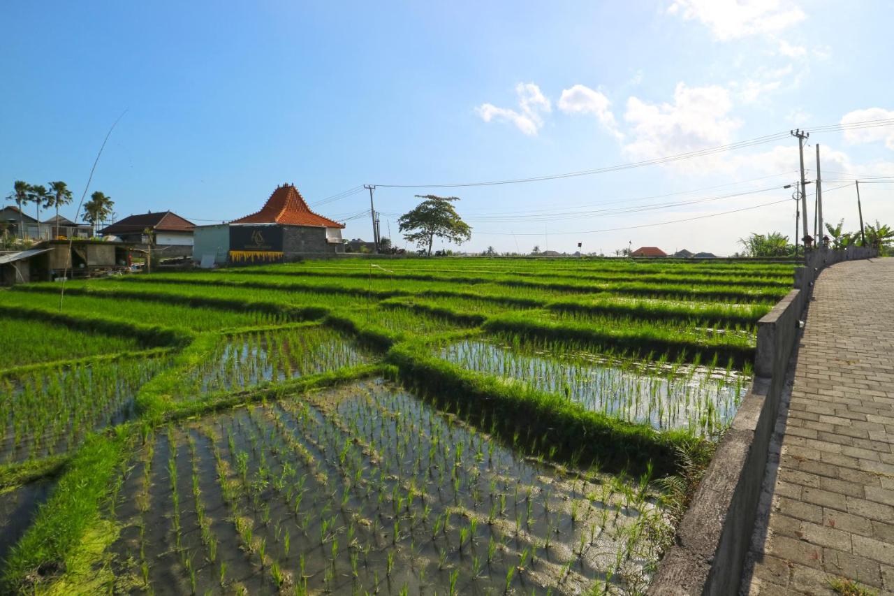 Pererenan Nengah Guest House Canggu Kültér fotó